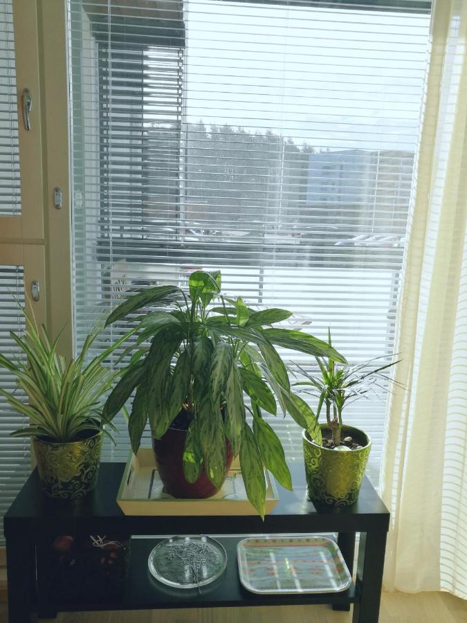 The Wildflower Apartment Turku Luaran gambar